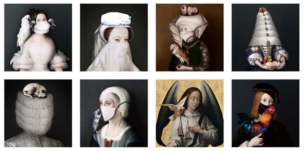 curiosites4