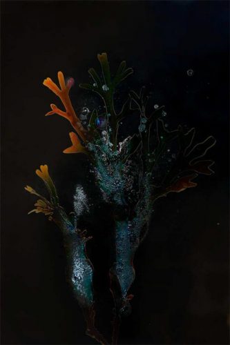 tombes-3